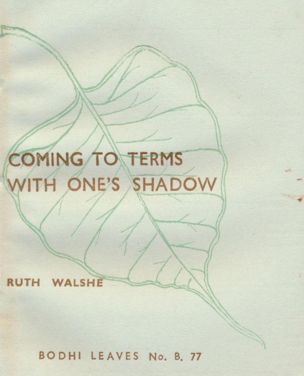 Coming to Terms with One's Shadow