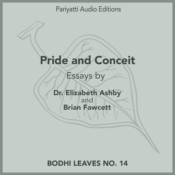 Pride and Conceit: Essays by Dr. Elizabeth Ashby and Brian Fawcett (MP3 Audiobook)