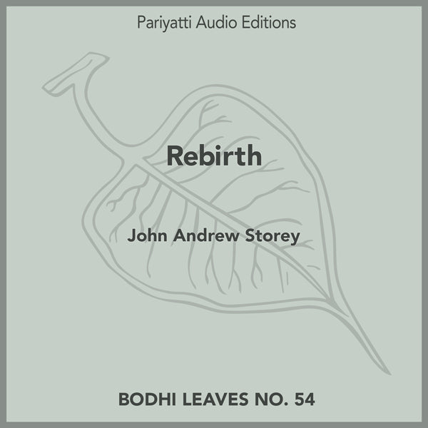 Rebirth by John Andrew Storey (MP3 audiobook)