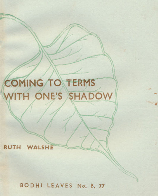 Coming to Terms with One's Shadow
