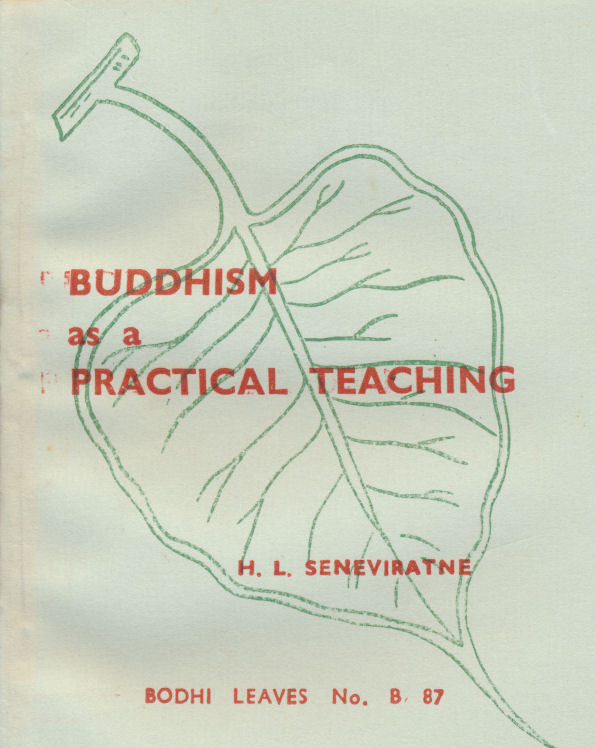 Buddhism as a Practical Teaching