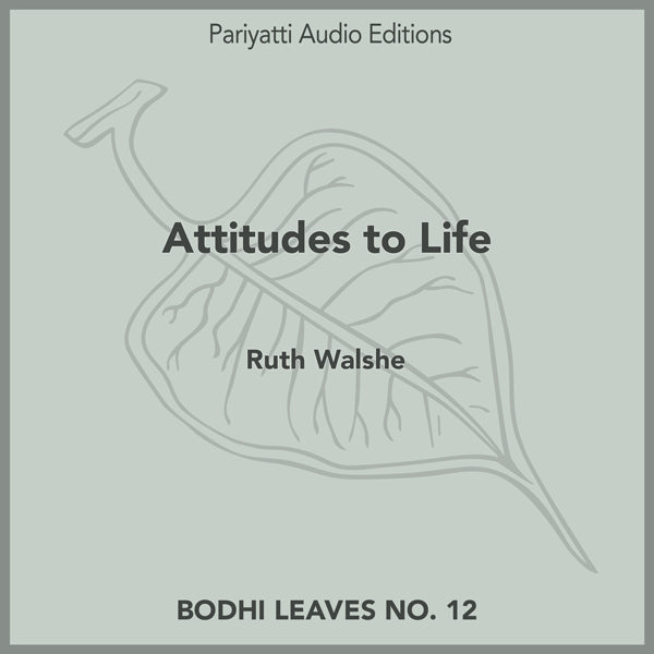 Attitudes to Life by Ruth Walshe (MP3 Audiobook)