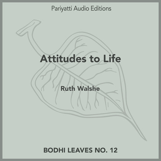 Attitudes to Life by Ruth Walshe (MP3 Audiobook)