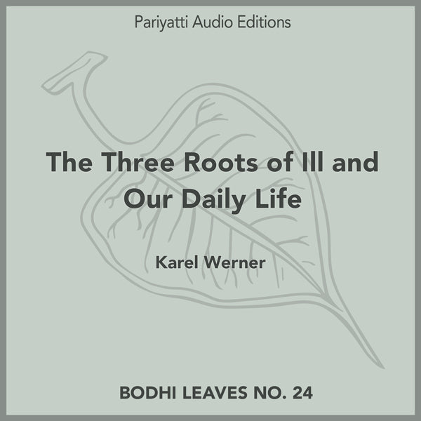 The Three Roots of Ill and Our Daily Life (MP3 audiobook)