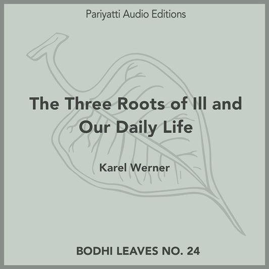 The Three Roots of Ill and Our Daily Life (MP3 audiobook)