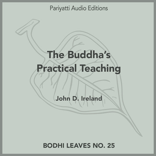 The Buddha s Practical Teaching by John D. Ireland (MP3 Audiobook)