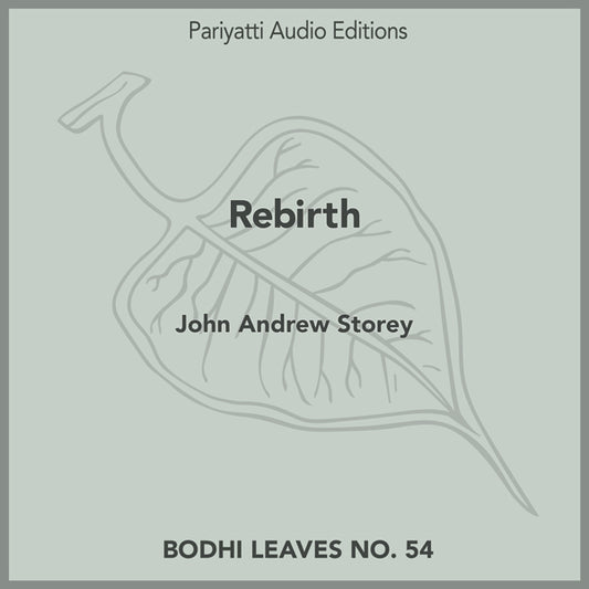 Rebirth by John Andrew Storey (MP3 audiobook)