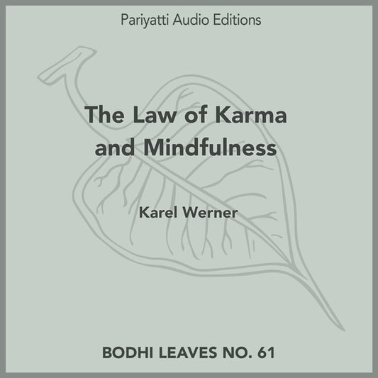The Law of Karma and Mindfulness (MP3 Audiobook)