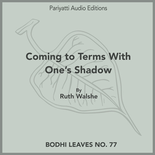 Coming to Terms With One's Shadow by Ruth Walshe (MP3 Audiobook)