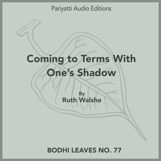Coming to Terms With One's Shadow by Ruth Walshe (MP3 Audiobook)