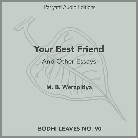 Your Best Friend: And Other Essay by M. B. Werapitiya (MP3 Audiobook)