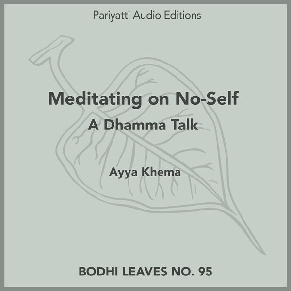 Meditating on No-Self (MP3 Audiobook)