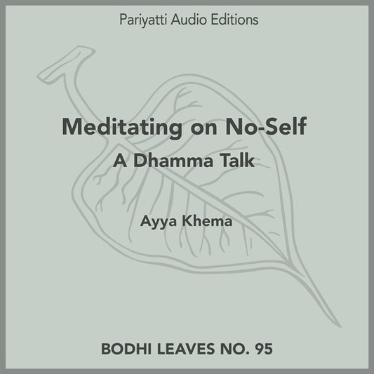 Meditating on No-Self (MP3 Audiobook)