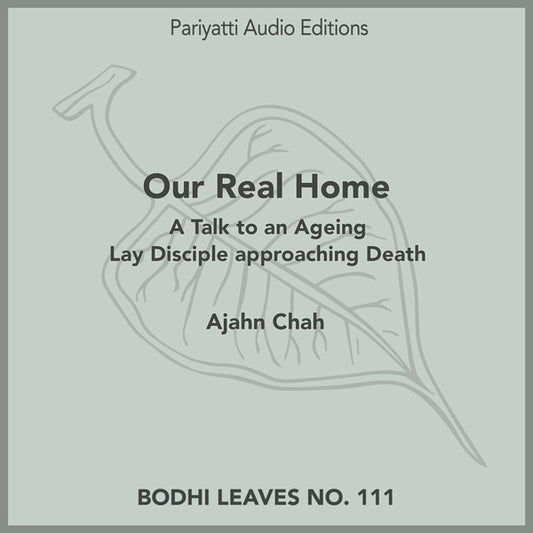 Our Real Home (MP3 audiobook)
