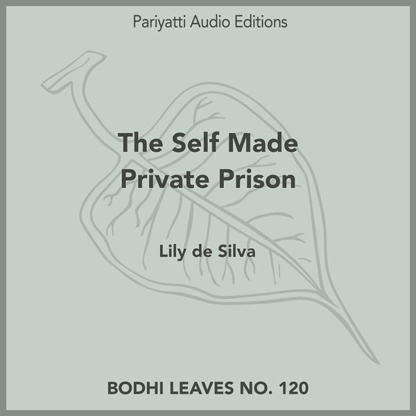 The Self Made Private Prison (MP3 Audiobook)