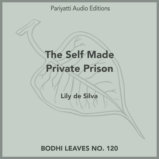 The Self Made Private Prison (MP3 Audiobook)