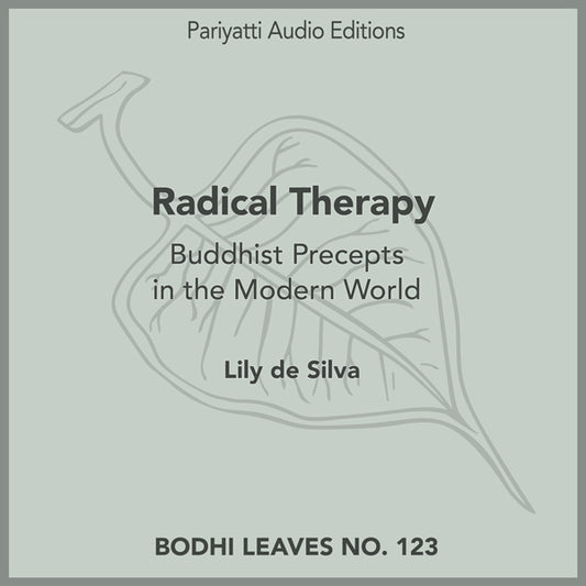 Radical Therapy by Lily de Silva (MP3 Audiobook)