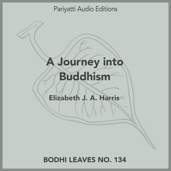 A Journey into Buddhism by Elizabeth J. A. Harris (MP3 Audiobook)