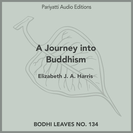A Journey into Buddhism by Elizabeth J. A. Harris (MP3 Audiobook)