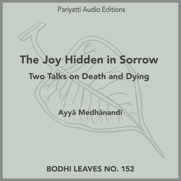 The Joy Hidden in Sorrow (MP3 Audiobook)