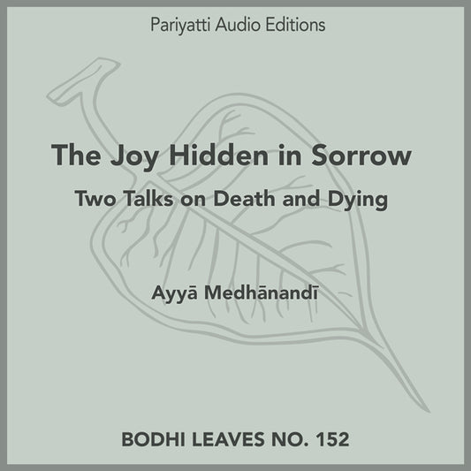 The Joy Hidden in Sorrow (MP3 Audiobook)