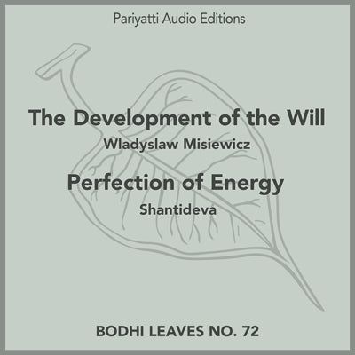 The Development of the Will and Perfection of Energy (MP3 Audiobook)