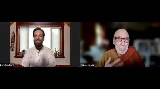 Pariyatti Presents... An interview with Ven. Bhikkhu Bodhi (Video Streaming and Download)
