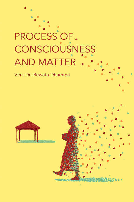 Process of Consciousness and Matter