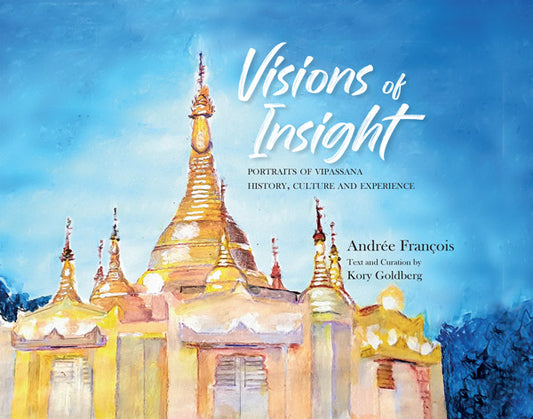 Visions of Insight: Portraits of Vipassana History, Culture and Experience by Andrée François and Kory Goldberg