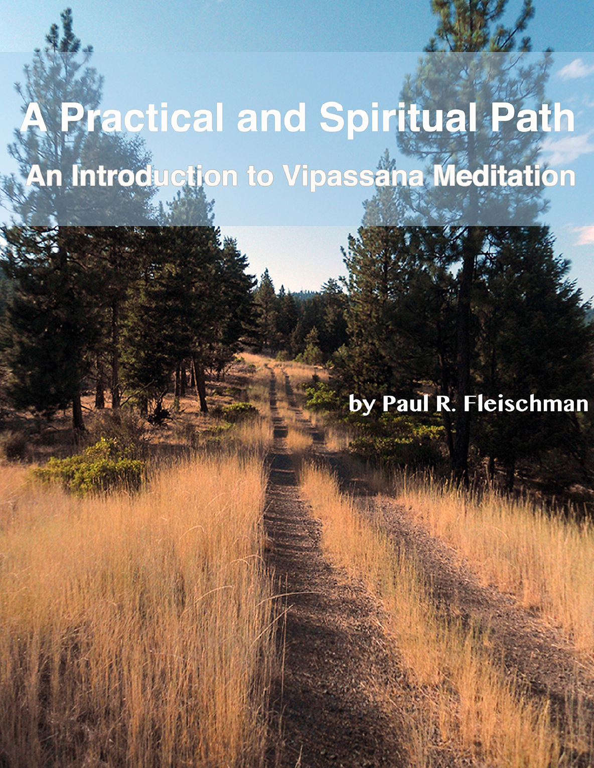A Practical and Spiritual Path (PDF, ePub, Mobi eBook)
