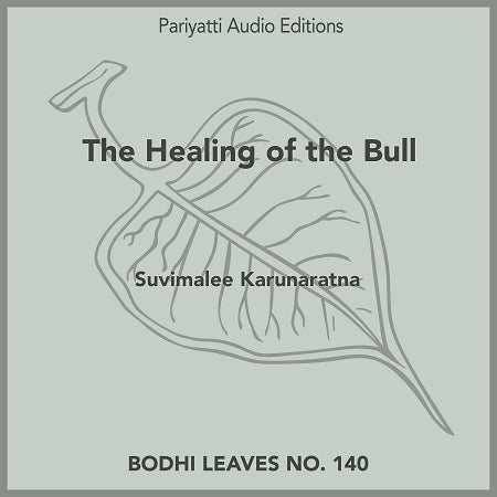 The Healing of the Bull - Audiobook