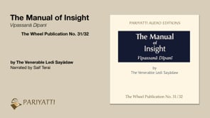 The Manual of Insight (MP3 audiobook)